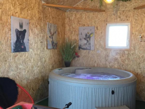 Villa 1950 Détente et Découverte avec spa et piscine extérieure